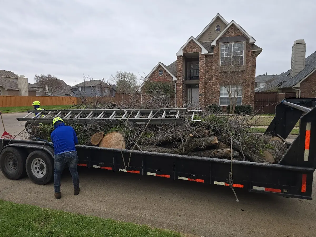Expert Tree Fertilization with proper safety equipment in Waterloo